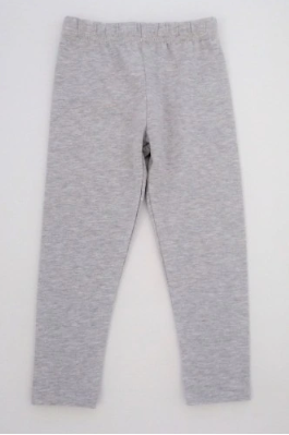 leg.PNG