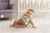 dumel-bali-bazoo-zawieszka-motyl-tymek-dzwoneczek-82616-7.PNG