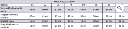 viktoria-sukienka-do-chrztu-dla-dziewczynki-dlugi-rekaw-koronka-ecru-4.PNG