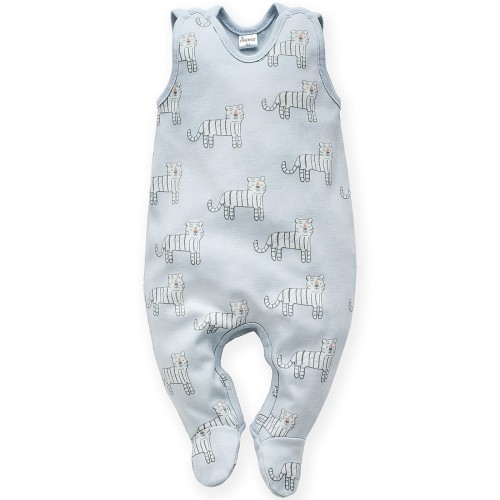 Śpiochy Niebieskie.jpg